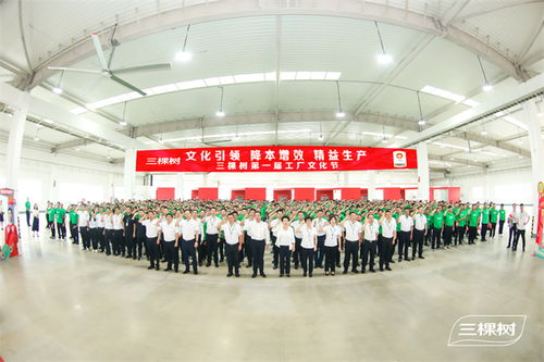 凝心聚力共筑文化生产力 | 三棵树第一届工厂文化节启动仪式圆满举行