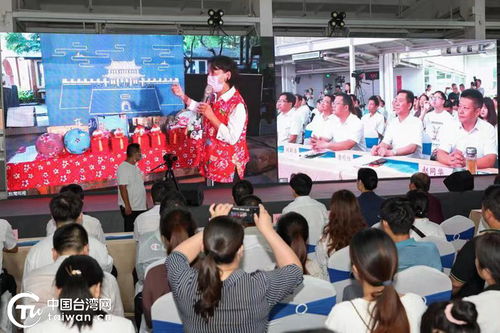 鄂台两地共话传统布艺，云上交流助力文化传承
